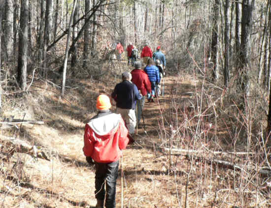 On the Sourwood Loop Trail headed for Nancytown Falls.