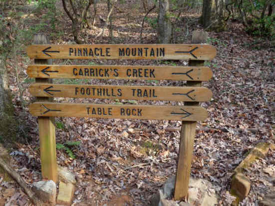 Lots of trail options.