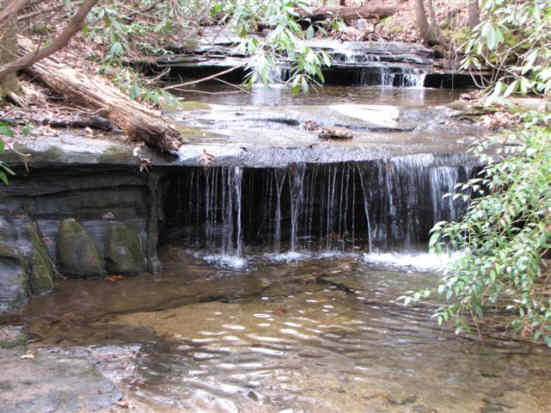 The start of the trail follows beautiful Carrick Creek.