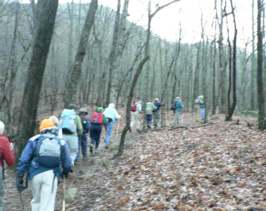 Headed to the summit of Yonah Mountain.