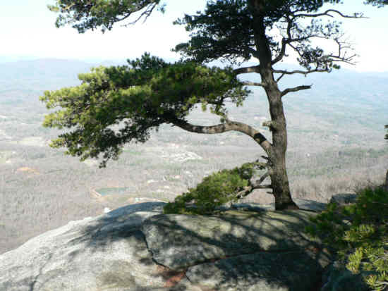 View as we walk down onto the rock face at the top of the cliffs.