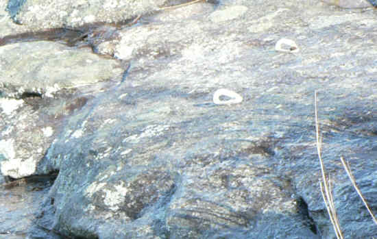 The rock cliffs had numerous rapelling hooks mounted in the rocks.
