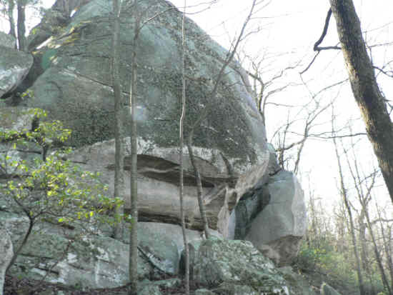 Here, we took the Boulder Trail out to a gigantic boulder about the size of a three story building!