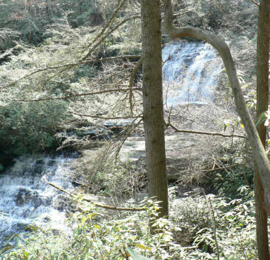 Lick Log Creek Falls.