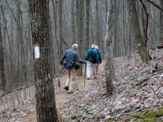 One of the famous white blazes marking the path from Georgia to Maine.