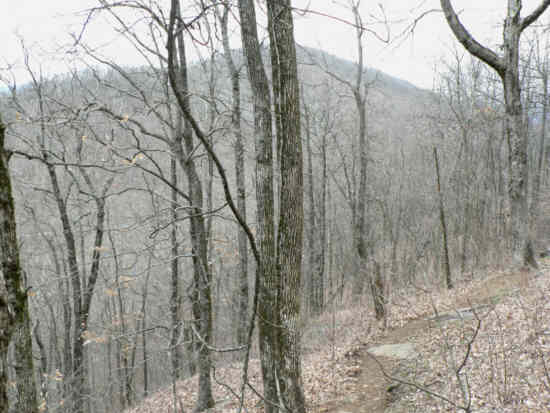 Looking across to Sassafras Mountain.