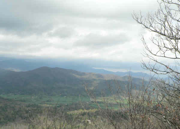 View 2