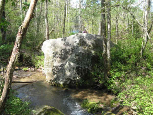 On the West Fork of the James Edmonds Trail.