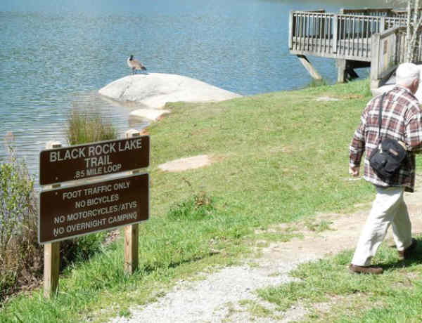 We arrive at the Black Rock Lake Trail.