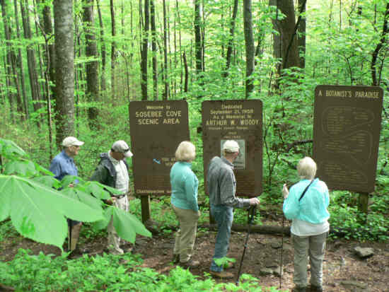 Information boards at Sosebee Cove.