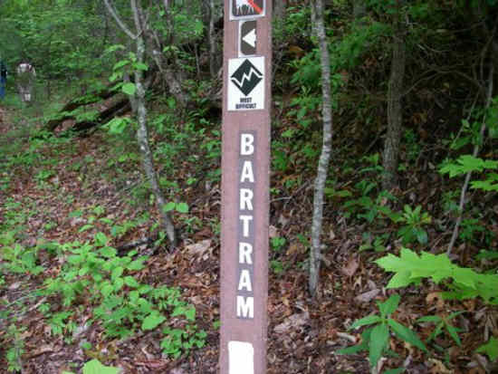 After a little over a mile, the trail turns left and the marker says "most difficult".