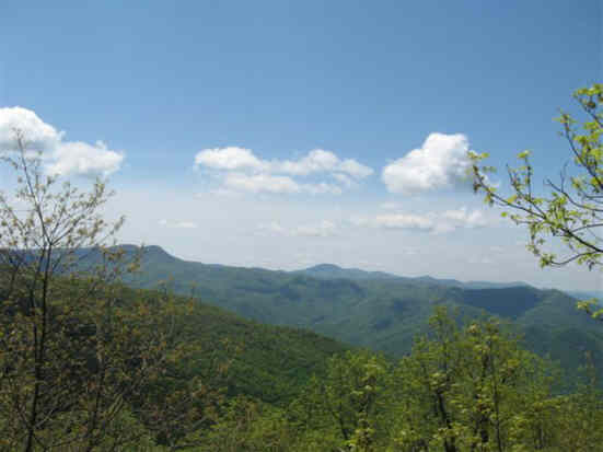 A view from Wolf Rock Overlook.