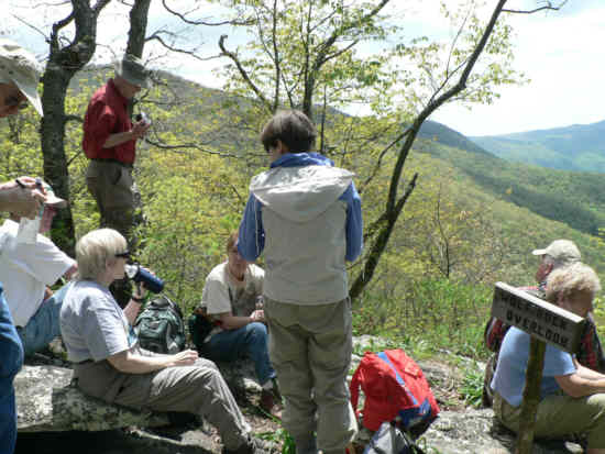 Lunchtime at Wolf Rock!