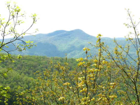 Another great day for a hike!