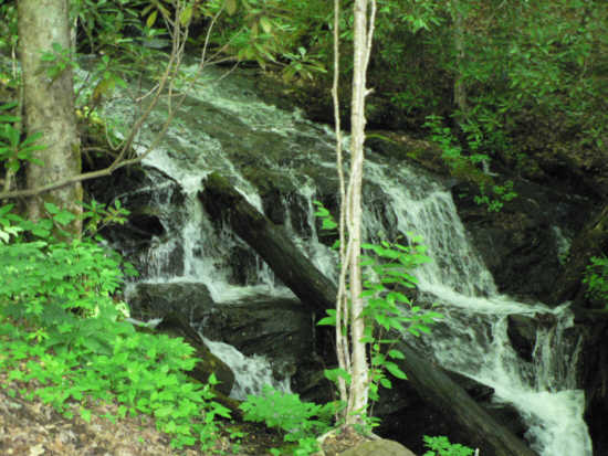 Nice falls early into the hike.
