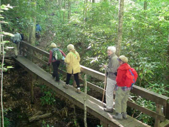 Crossing the foot-bridge just below the falls.