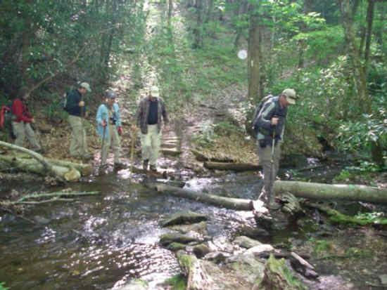 Crossing the creek.
