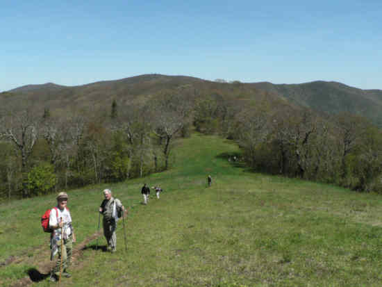 Climbing the grassy slope to the summit of Siler Bald.