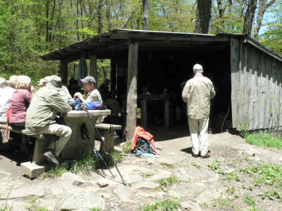 Lunch at the Siler Bald shelter.
