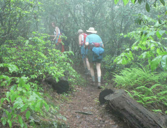 Headed up the mountain in the fog.