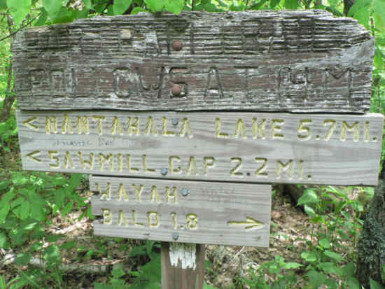 The intersection with the Bartram Trail.