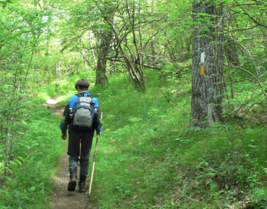 From the intersection, the two trails merge for a couple of miles. (White and Yellow markers)