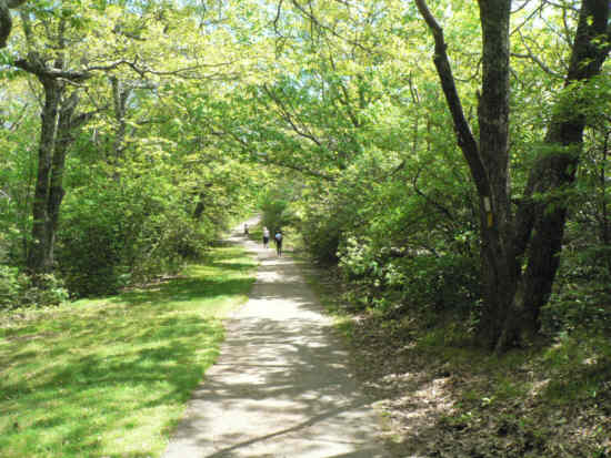 Near the summit of Wayah Bald, the trail becomes asphalt as it leads to the tower.