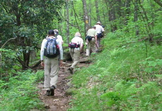 Headed toward Wayah Bald on a beautiful day.