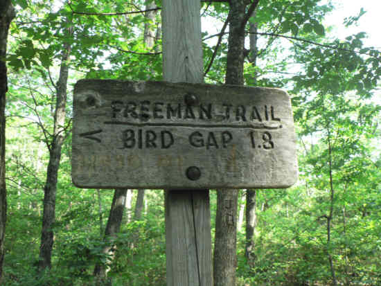 The Reece Trail intersects with the Freeman Trail here.