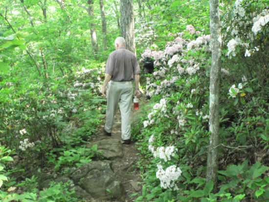 Walking through a natural botanical garden.