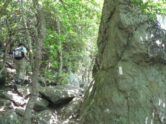 Many of the A.T. markers were painted on the rocks instead of trees.