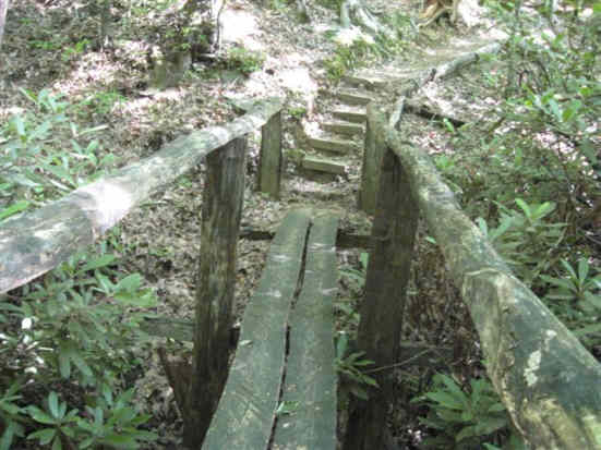 There are several "rustic" bridges and stairs on this portion of the Foothills Trail.