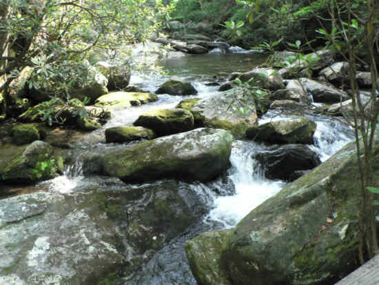 The beautiful Thompson River