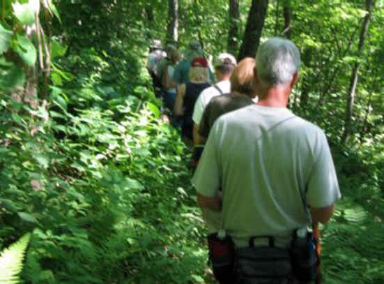 Another great day for a hike on the Bartram Trail!