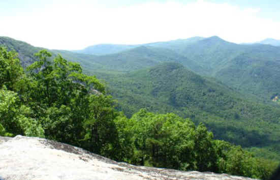 View three!