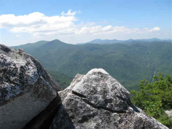 View four!
