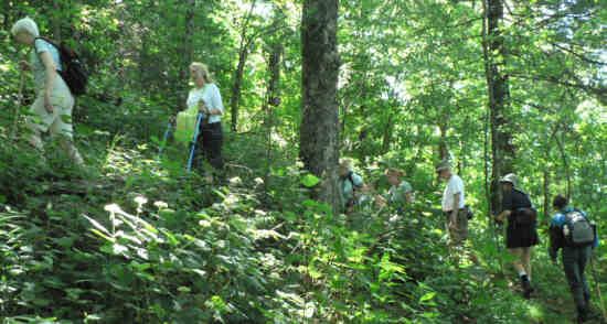 Another great day for a hike on the Appalachian Trail!