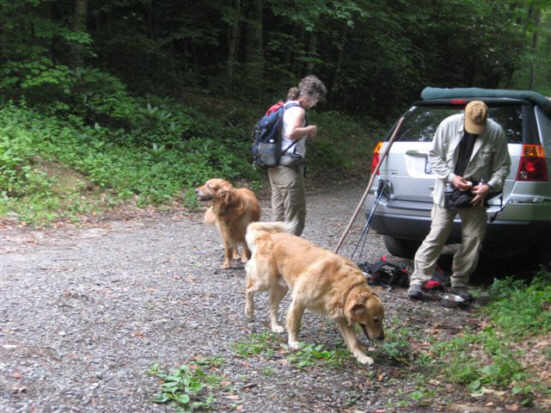 Jessie and Ty (trail dogs for the day) are ready to hike!