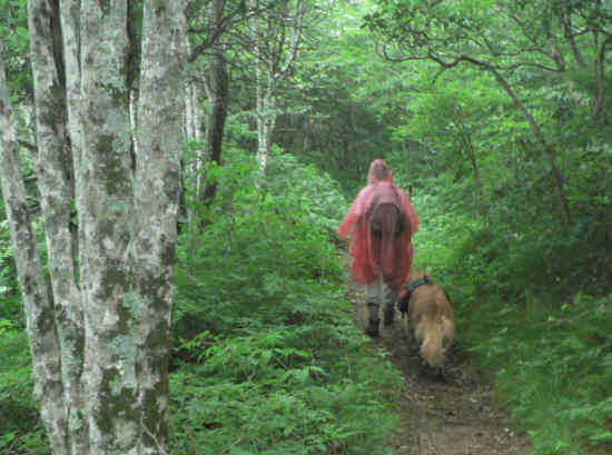 A brief shower brought out the ponchos for a while.