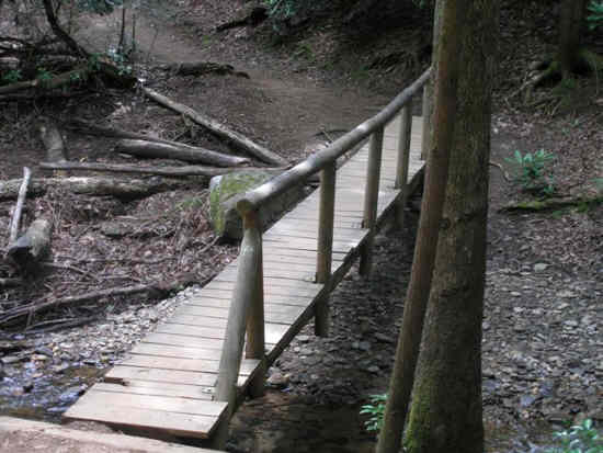 Footbridge over a small creek. A few years back, we hiked this trail after heavy rains when the water was about 2 inches above the bridge walkway.