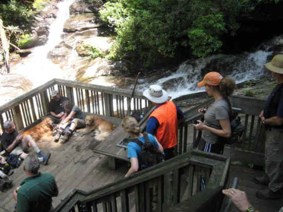 Lunchtime at Dukes Creek Falls!
