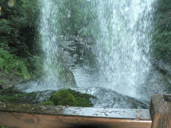 Looking out from behind the falls.