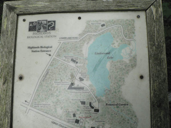 We had lunch at Highlands Biological Station and walked the nature trails.