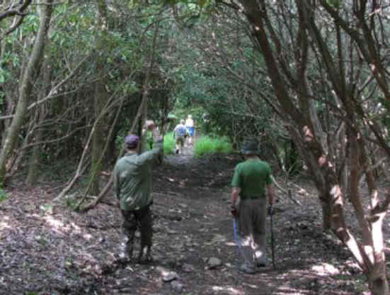 The trail is shaded most of the way.