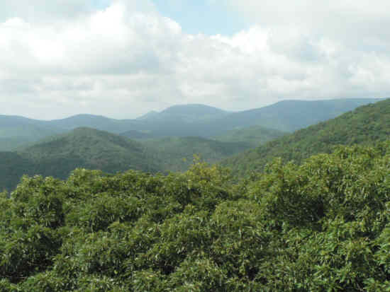 Another view from the tower.