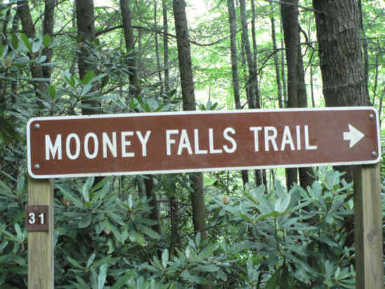 Our next trail of the day.