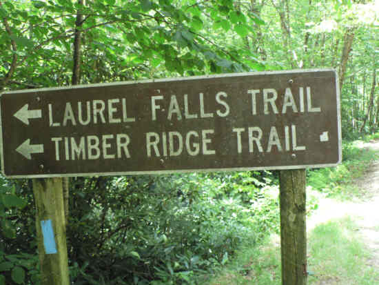Our final trail of the day.