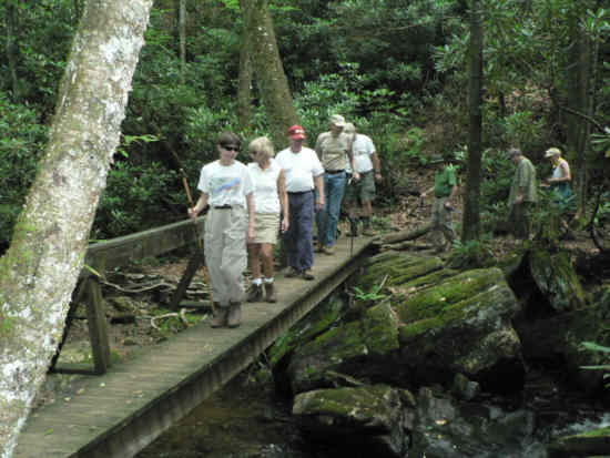 Crossing the creek on the footbridge.