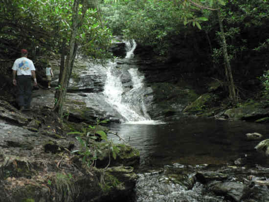 Laurel Branch Falls.