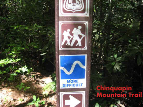 Next, we hit the Chinquapin Mountain Trail.
